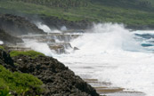 Niue se prte peu aux activits aquatiques